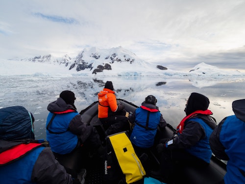 Zodiac Cruise, Paradise Harbour, Antarctica, Matt Horspool