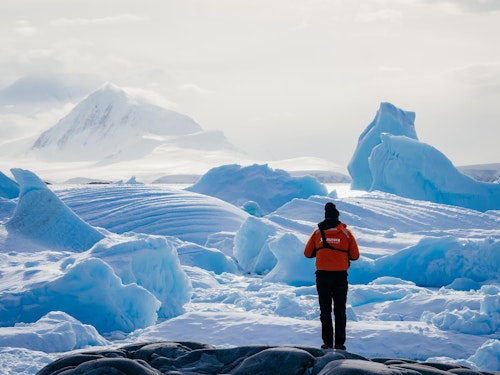 Expedition Team Member Admires the view, Pleneau and Port Charcot, Antarctica, Matt Horspool