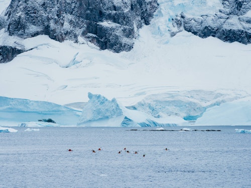 Kayakers, Danco Island, Antarctica, Matt Horspool