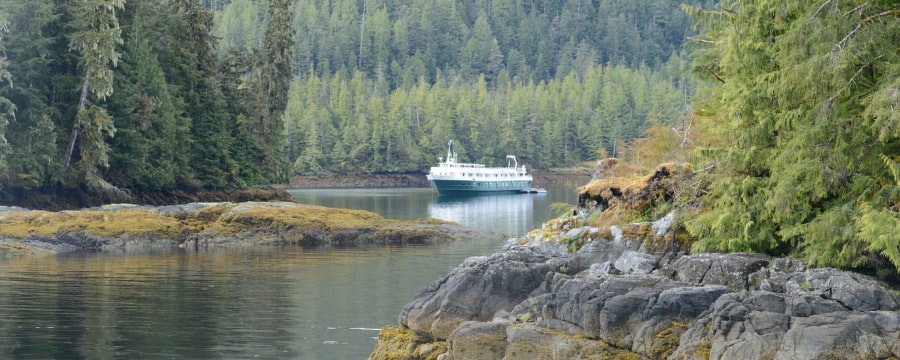 blog-alaska-whens-the-best-time-to-take-an-alaska-cruise-banner.jpg
