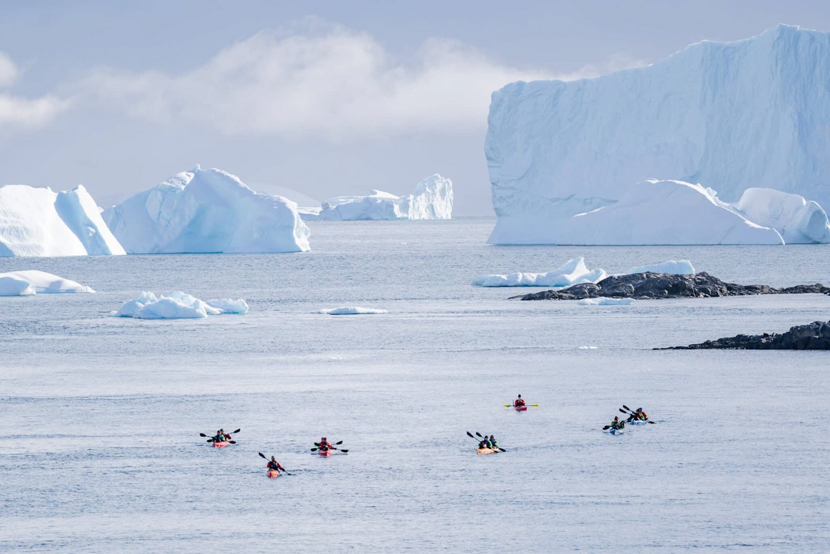 Group of Kayakers on calm waters, Antarctica, Lina Stock Divergent Travelers