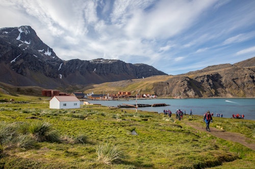 Grytviken, South Georgia, Pia Harboure