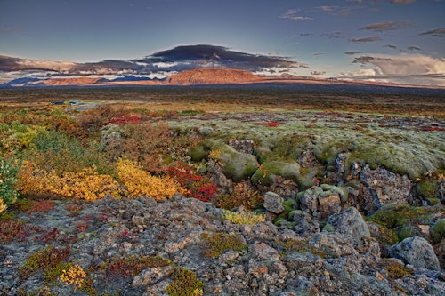 thingvellir-national-park-iceland