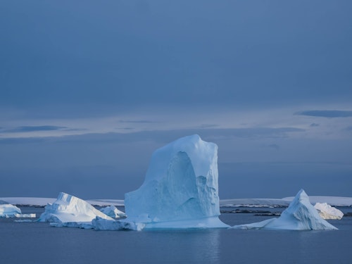 Icebergs, Lemaire Channel, Antarctica, Matt Horspool