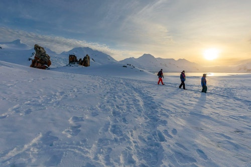 Passengers, Half Moon Island, Antarctica, Adrian Wlodarczyk