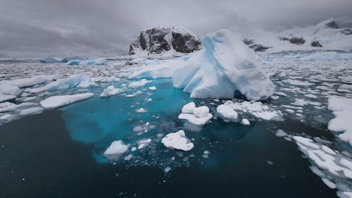 Ice in Cuverville Island, Antarctica, Adrian Wlodarczyk