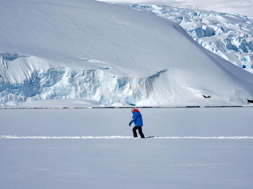 Passenger, Recess Cove, Antarctica, David Jaffe
