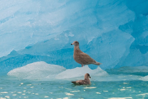 Lilliehookbreen, Svalbard, Adrian Wlodarczyk