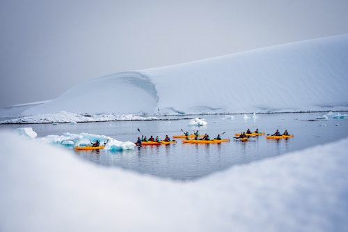 Sea Kayaking, Port Lockroy, Antarctica, Tyson Mayr